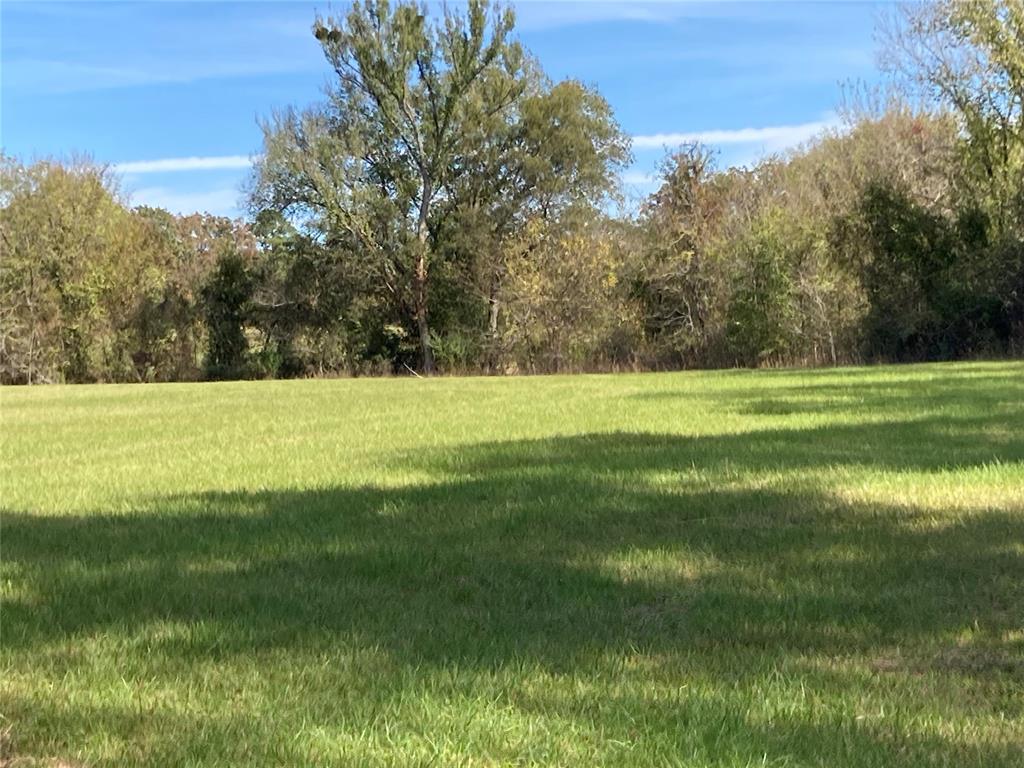 901 Sycamore Bend Loop Property Photo 13