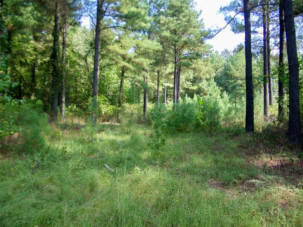 901 Sycamore Bend Loop Property Photo 15