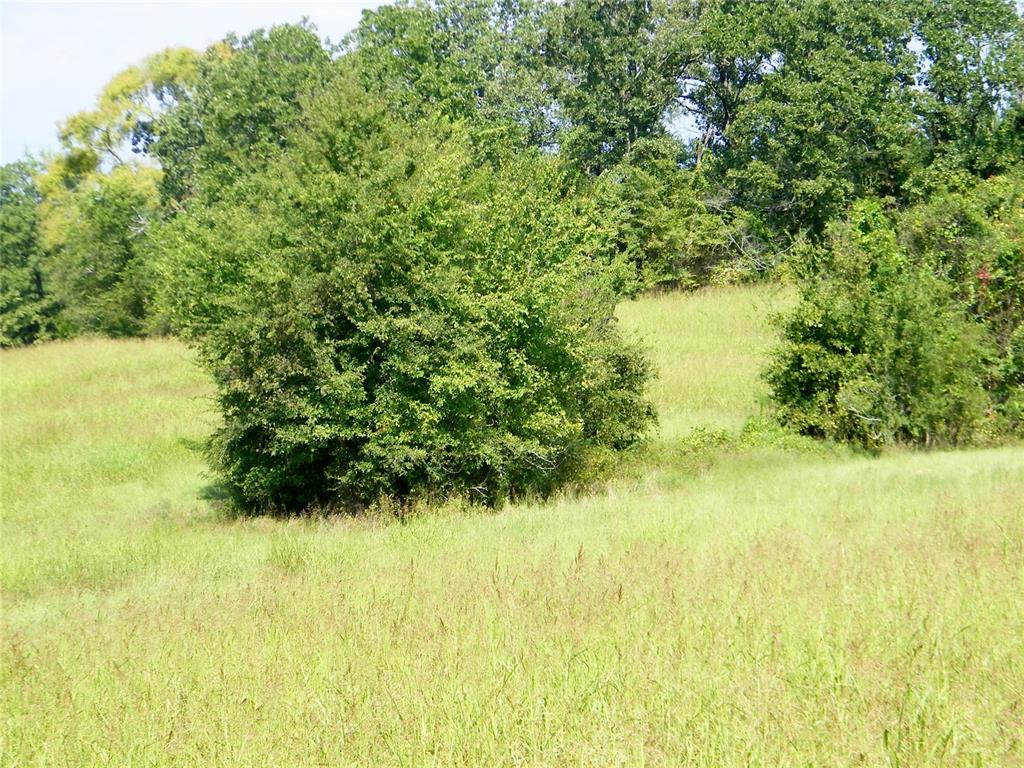 901 Sycamore Bend Loop Property Photo 16