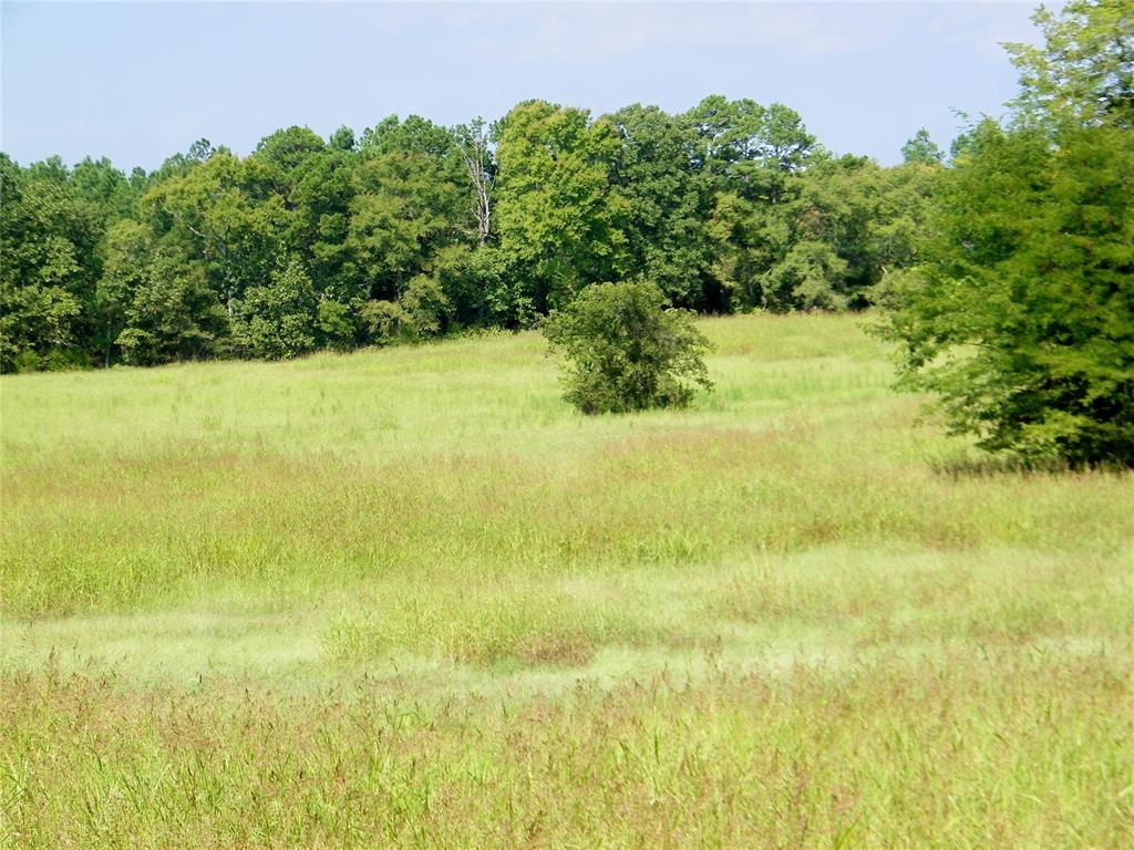 901 Sycamore Bend Loop Property Photo 17