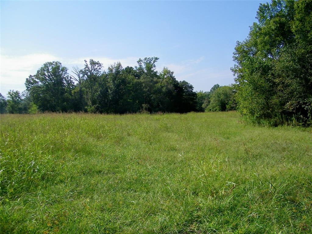 901 Sycamore Bend Loop Property Photo 18
