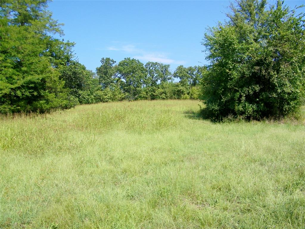 901 Sycamore Bend Loop Property Photo 19