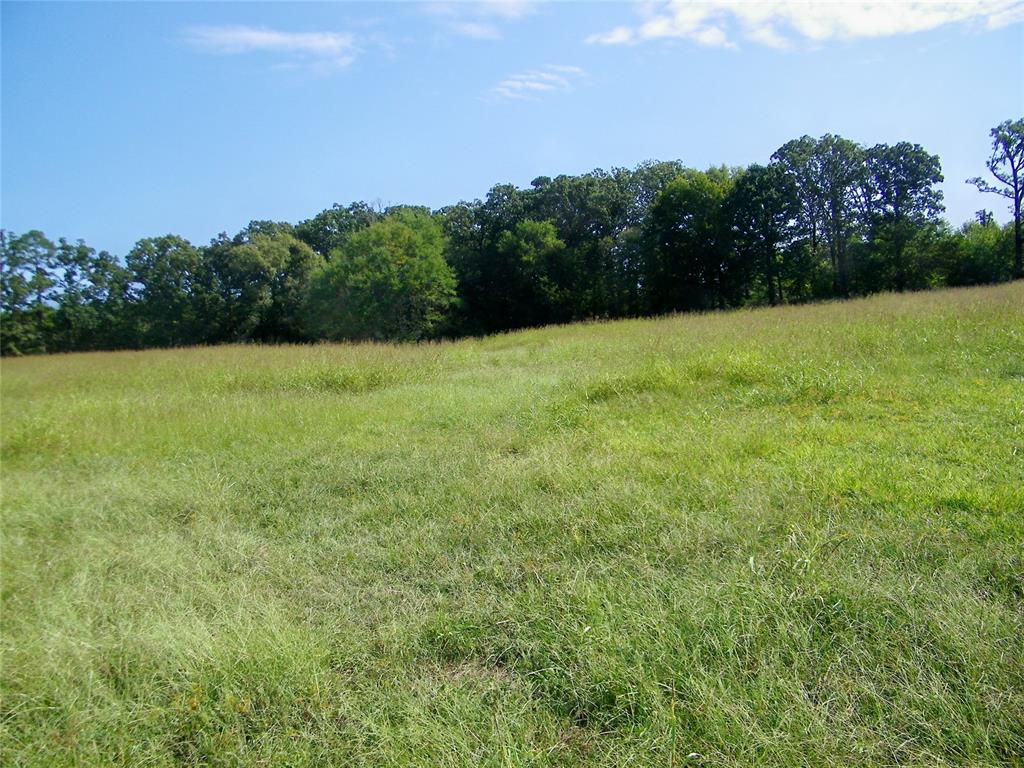 901 Sycamore Bend Loop Property Photo 21