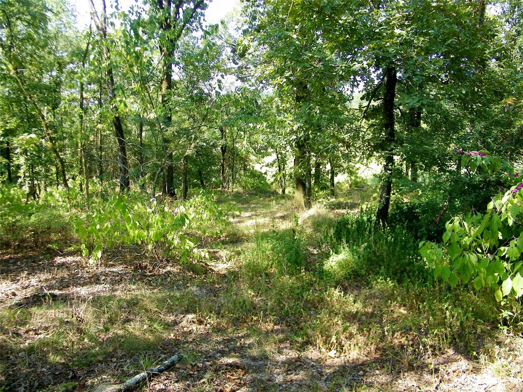 901 Sycamore Bend Loop Property Photo 23