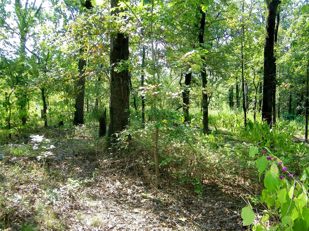 901 Sycamore Bend Loop Property Photo 24