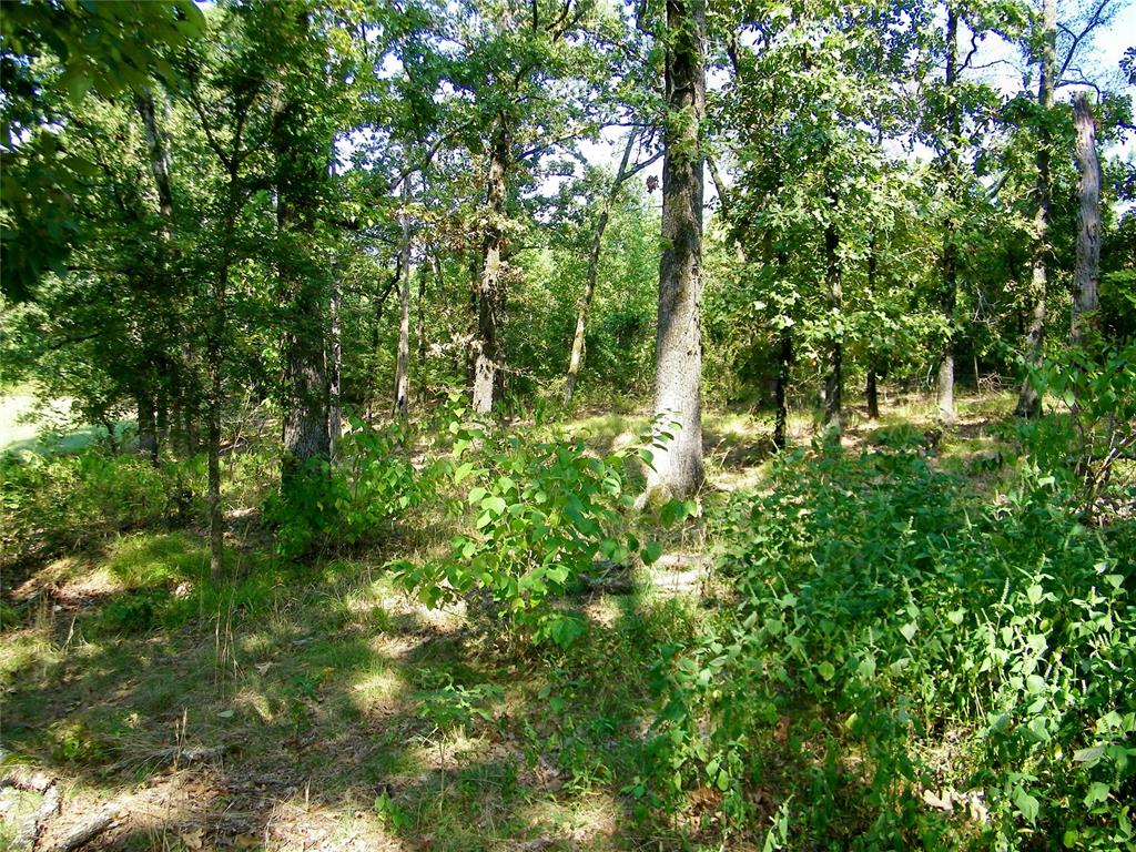 901 Sycamore Bend Loop Property Photo 25