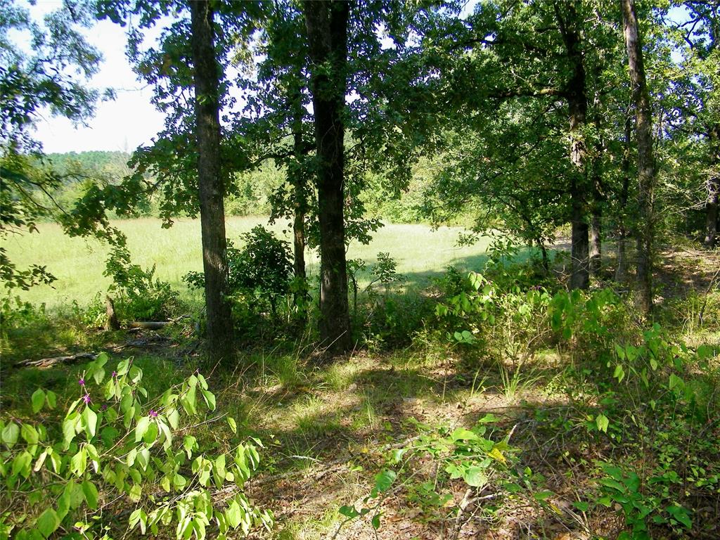 901 Sycamore Bend Loop Property Photo 26