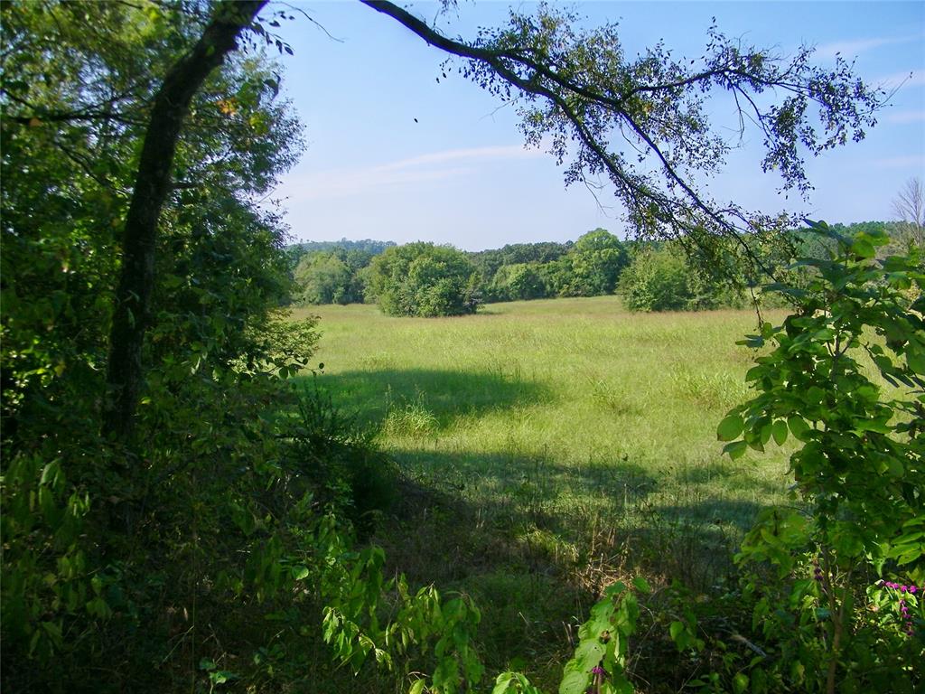 901 Sycamore Bend Loop Property Photo 28