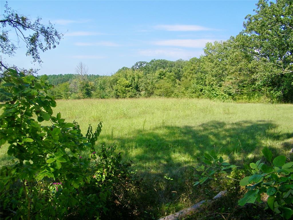 901 Sycamore Bend Loop Property Photo 29