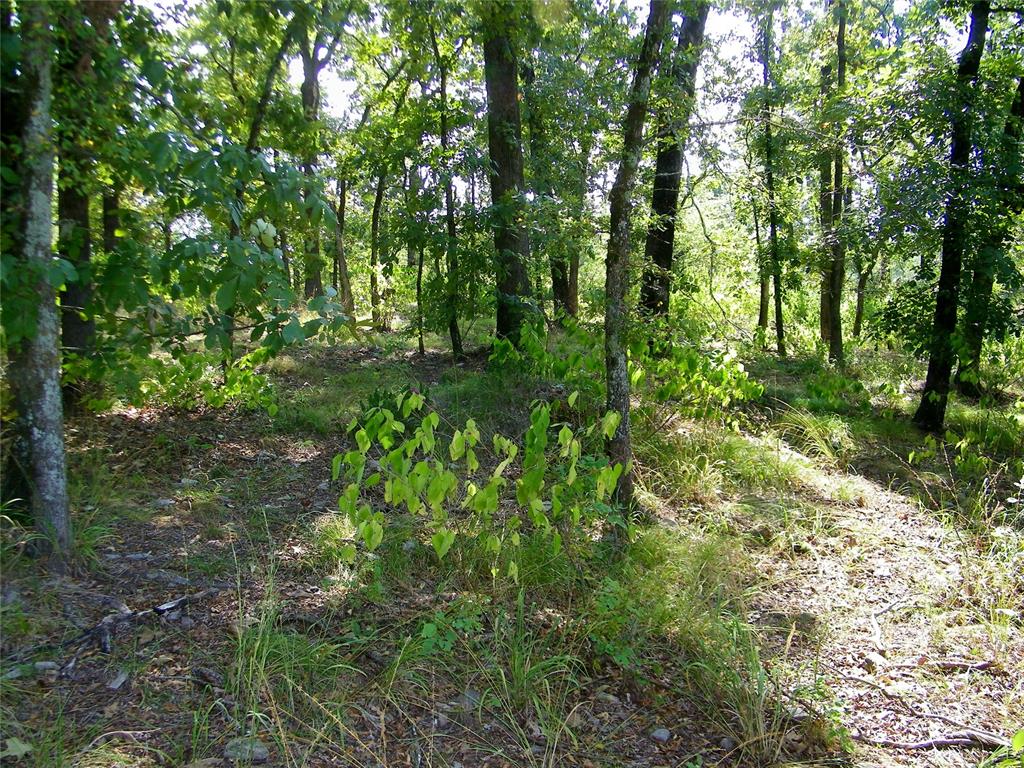 901 Sycamore Bend Loop Property Photo 30