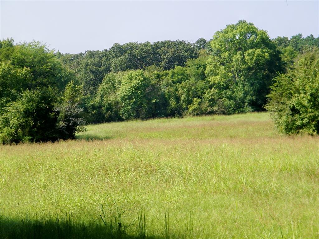 901 Sycamore Bend Loop Property Photo 31