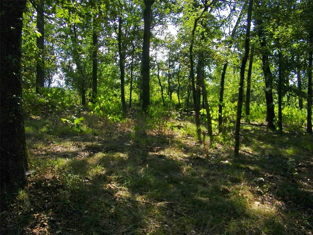 901 Sycamore Bend Loop Property Photo 32