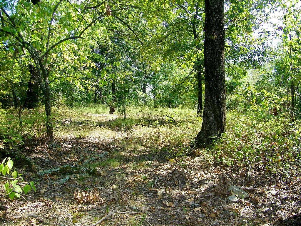 901 Sycamore Bend Loop Property Photo 33
