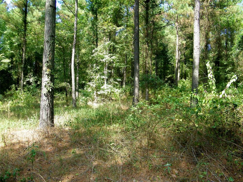 901 Sycamore Bend Loop Property Photo 34