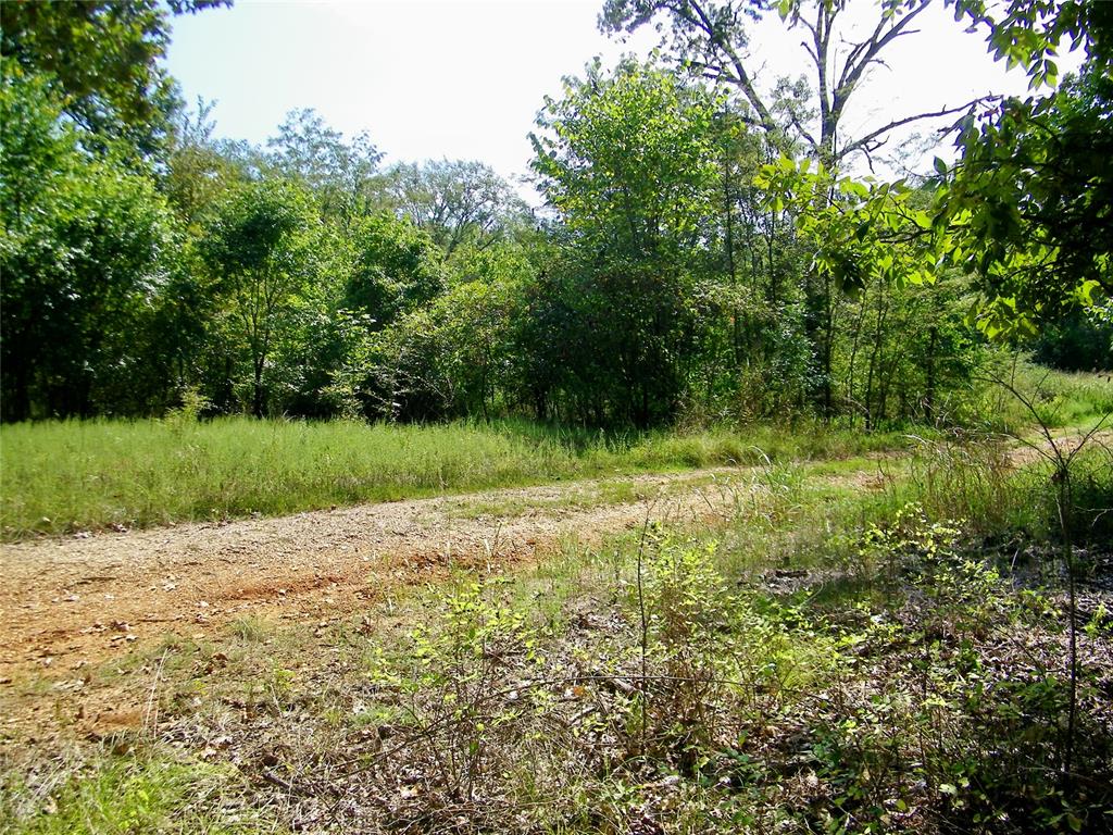 901 Sycamore Bend Loop Property Photo 35