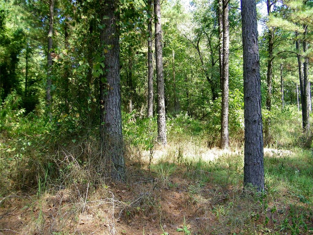 901 Sycamore Bend Loop Property Photo 39
