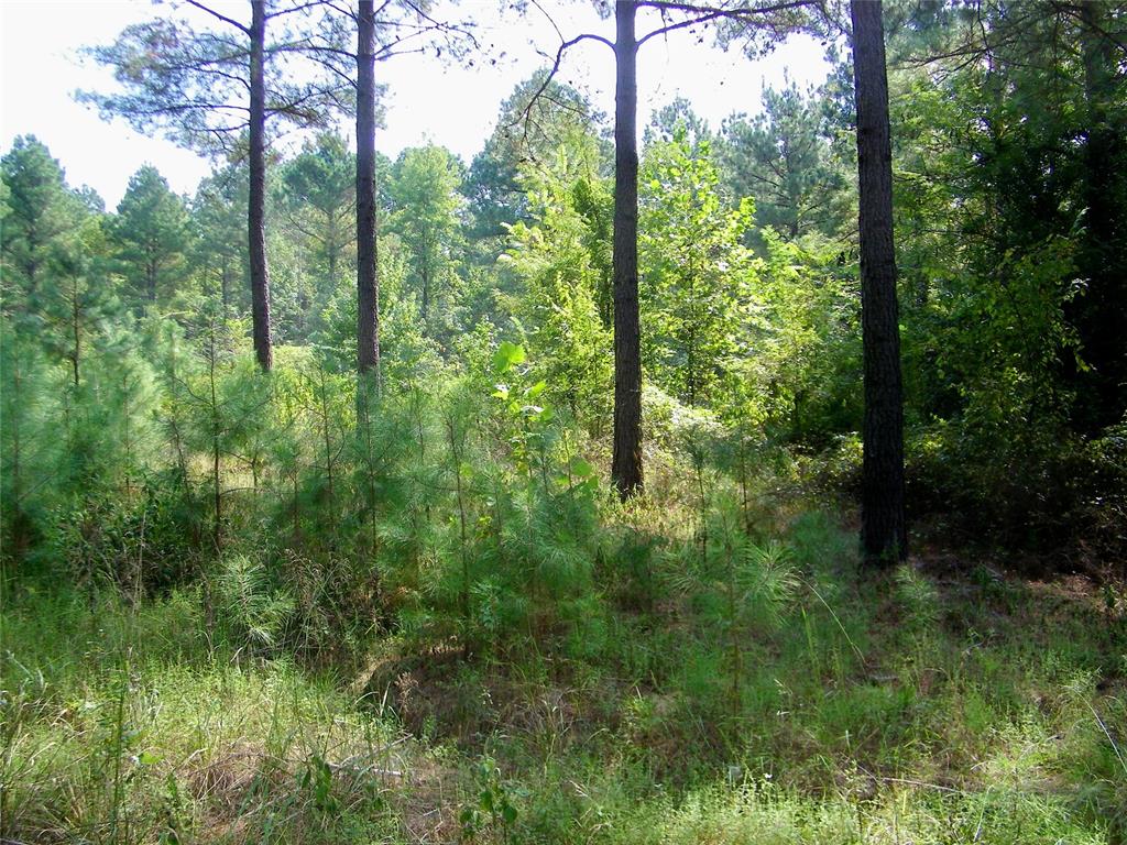 901 Sycamore Bend Loop Property Photo 40