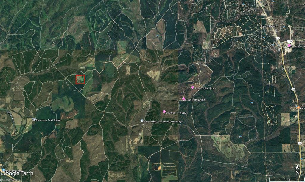 901 Sycamore Bend Loop Property Photo 43