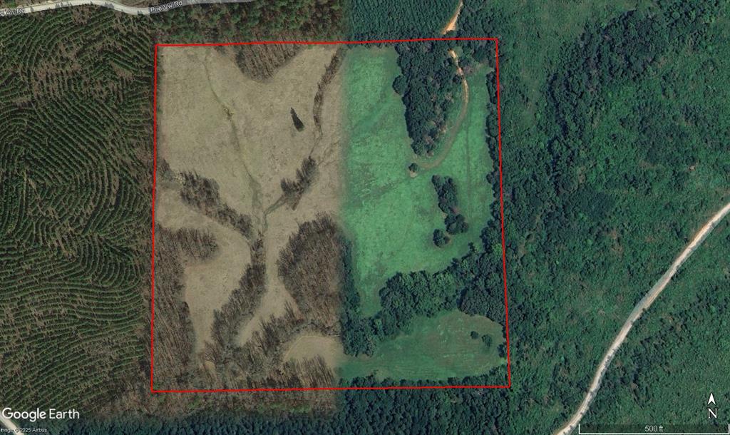 901 Sycamore Bend Loop Property Photo 47