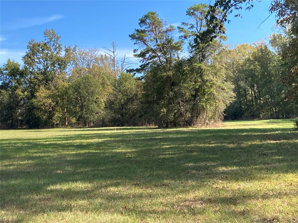 901 Sycamore Bend Loop Property Photo 49
