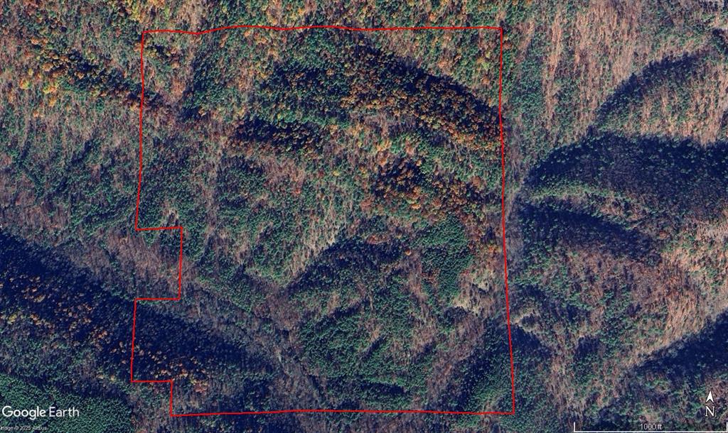 Mountain Road Property Photo 1