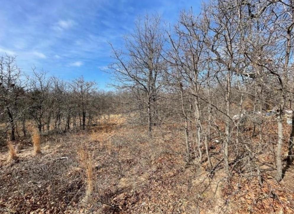 Lot 9 Toad Road Property Photo 1