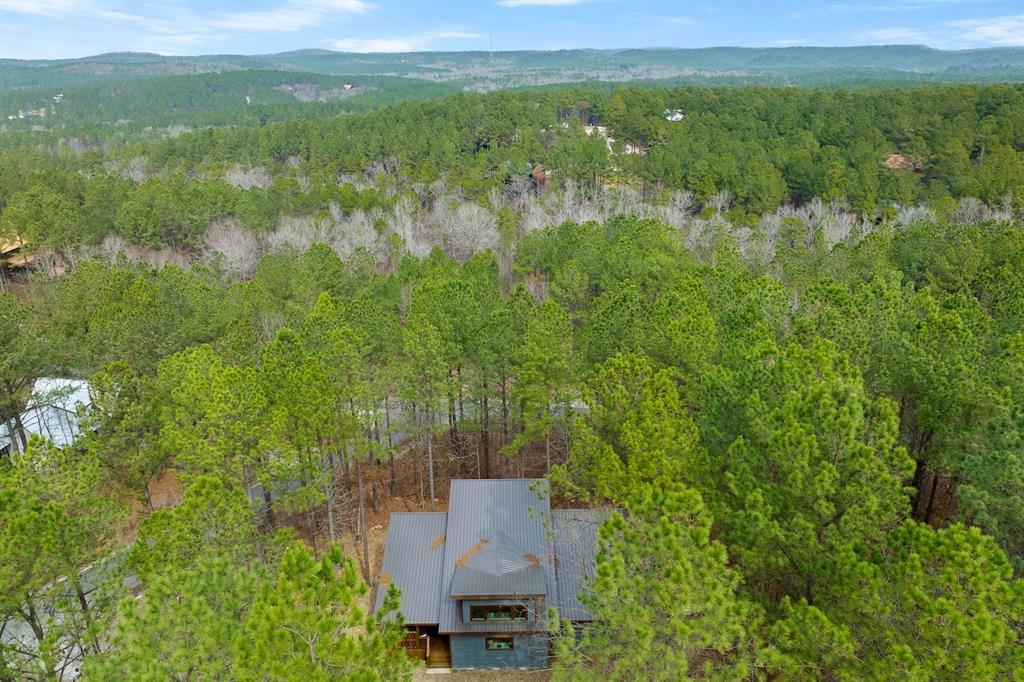 266 Hickory Leaf Trail Property Photo 34