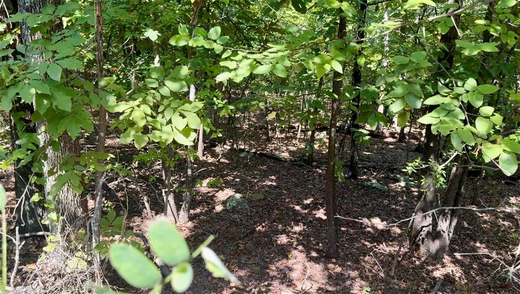 Marian Lane Property Photo 7