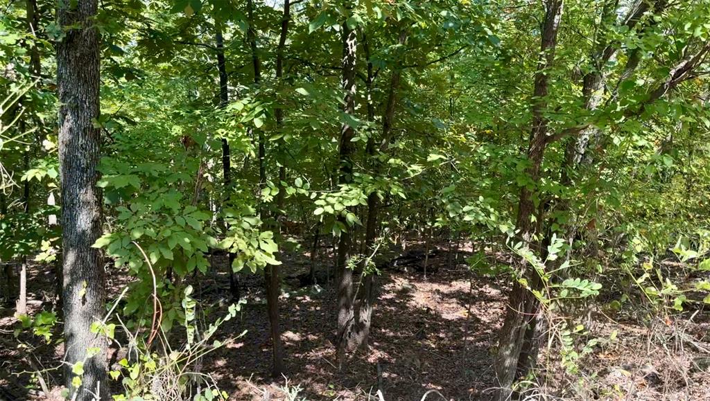 Marian Lane Property Photo 8
