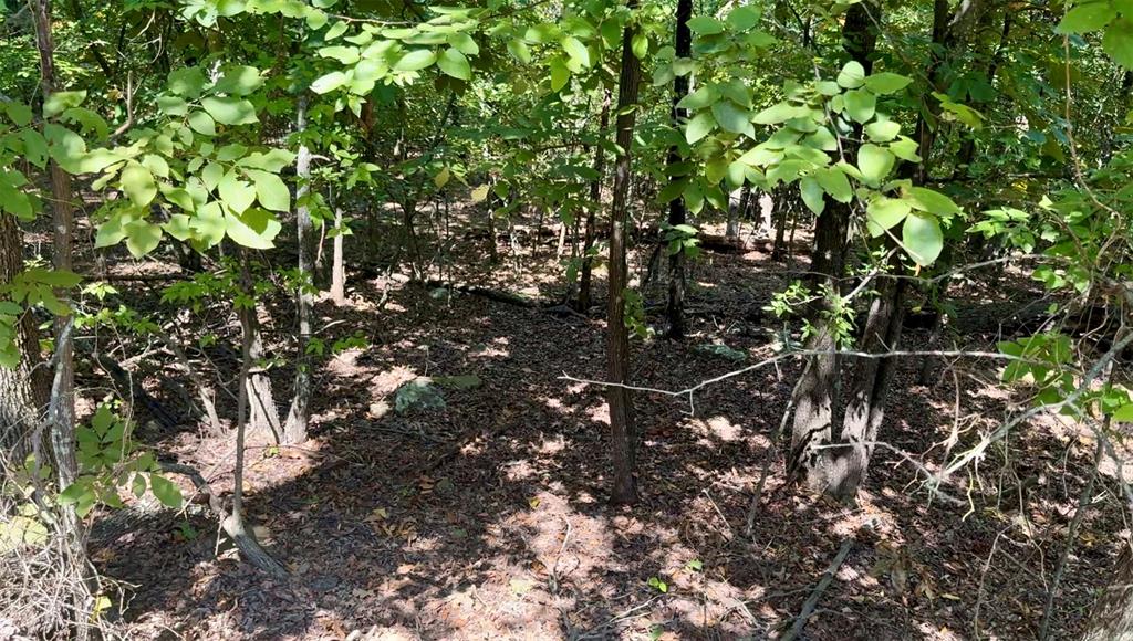 Marian Lane Property Photo 10