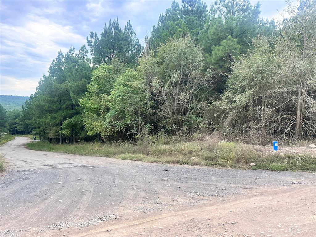 552 Timbuktu Trail Property Photo 1
