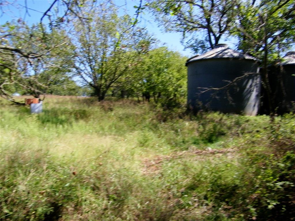2343 County Road 1350 Property Photo 6