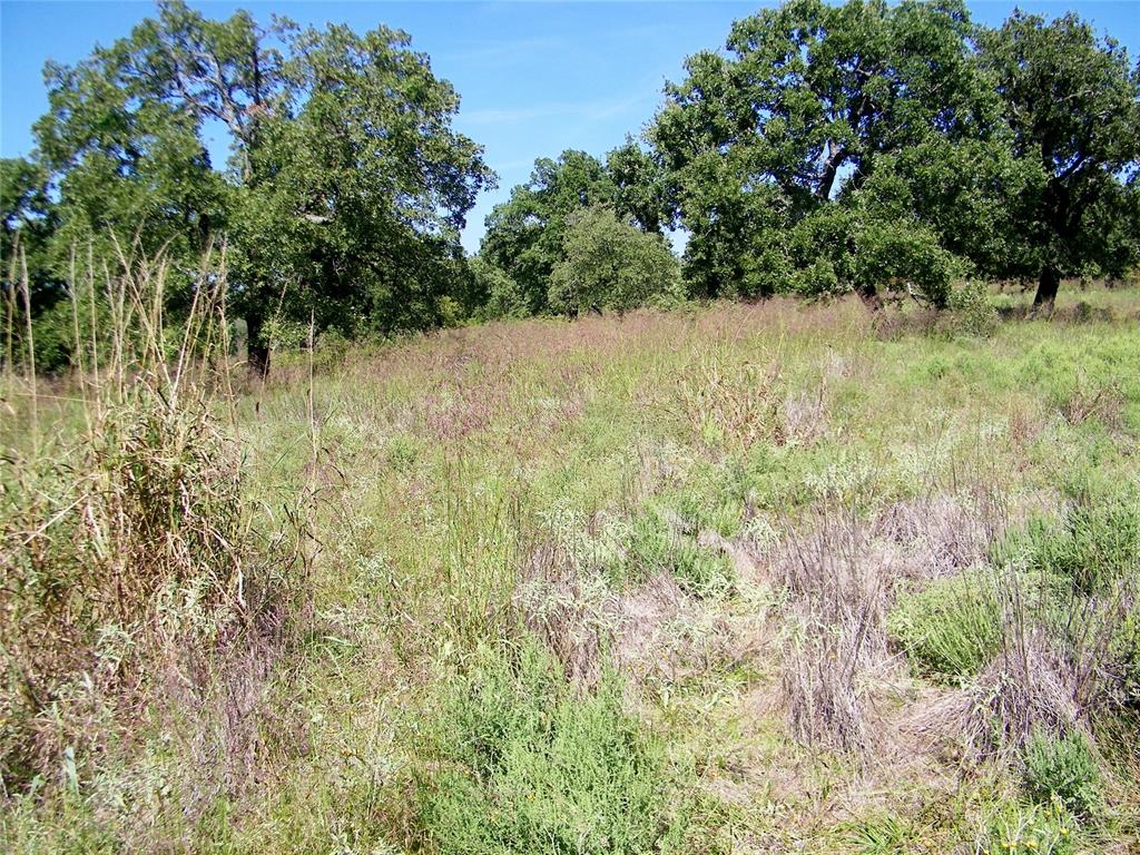 2343 County Road 1350 Property Photo 13