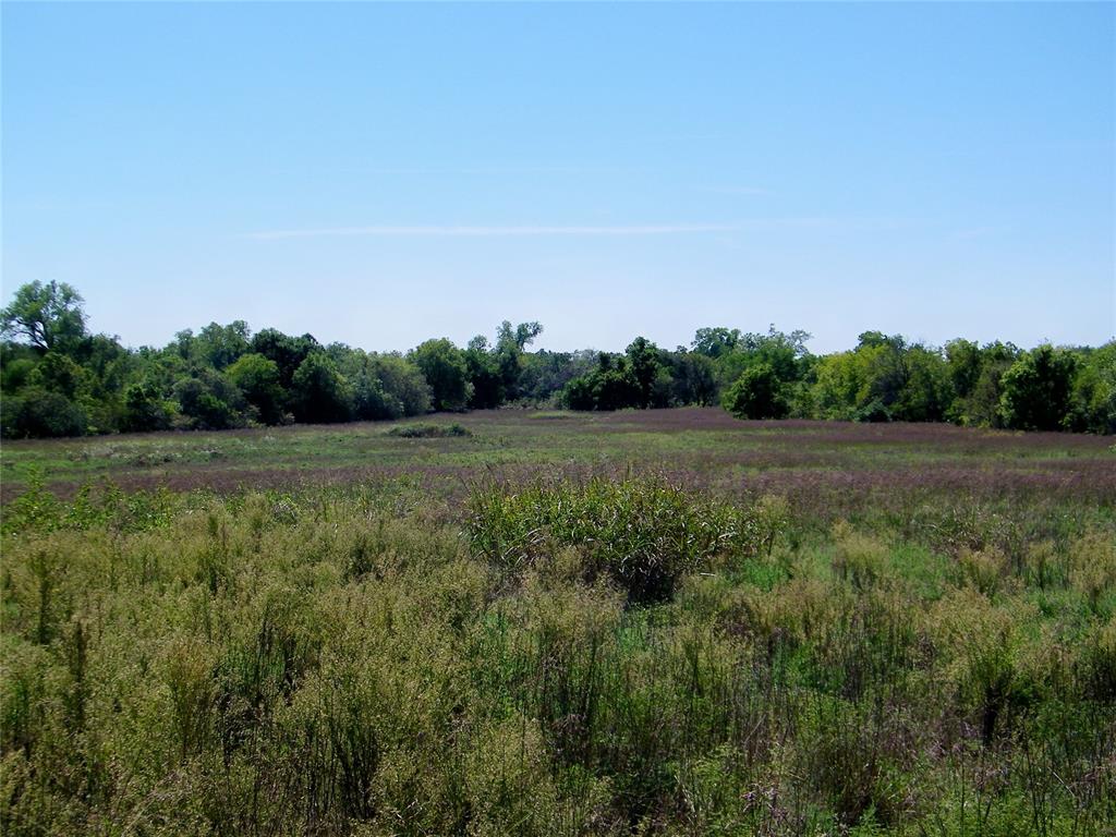 2343 County Road 1350 Property Photo 14
