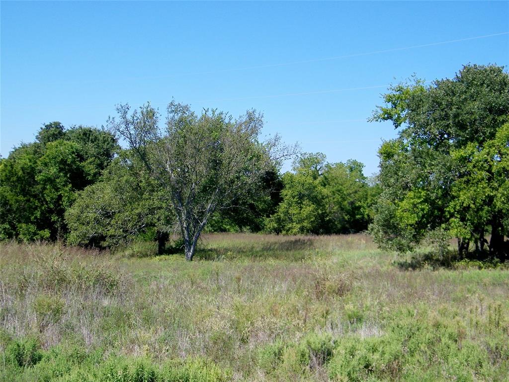 2343 County Road 1350 Property Photo 19