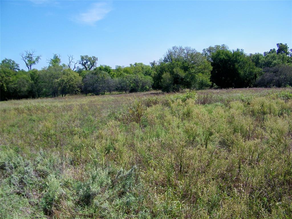 2343 County Road 1350 Property Photo 23