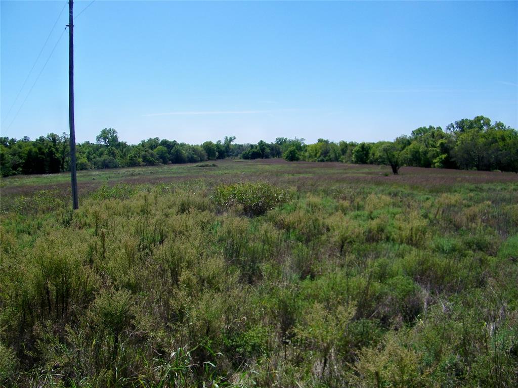 2343 County Road 1350 Property Photo 25