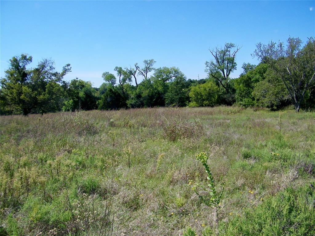 2343 County Road 1350 Property Photo 33