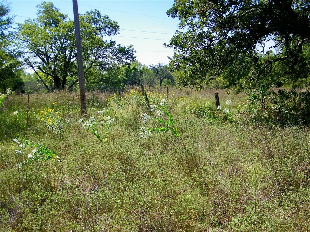 2343 County Road 1350 Property Photo 37