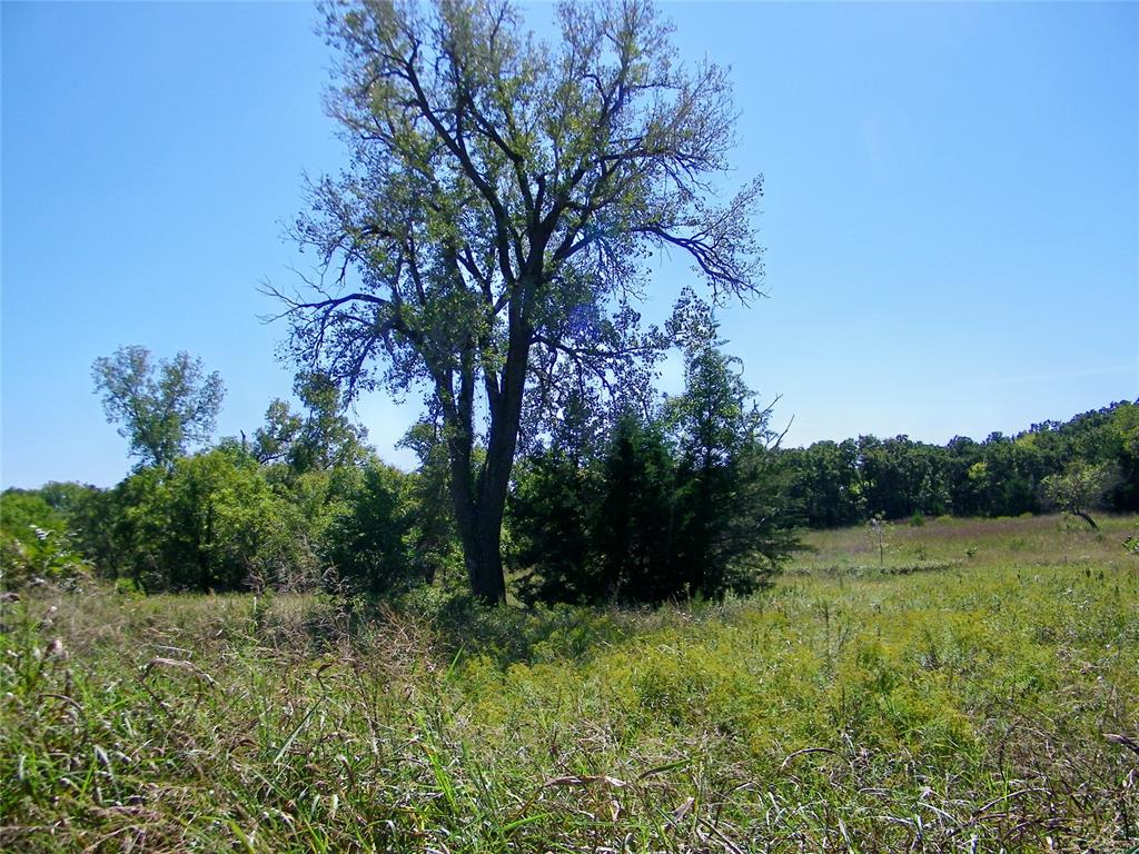 2343 County Road 1350 Property Photo 42