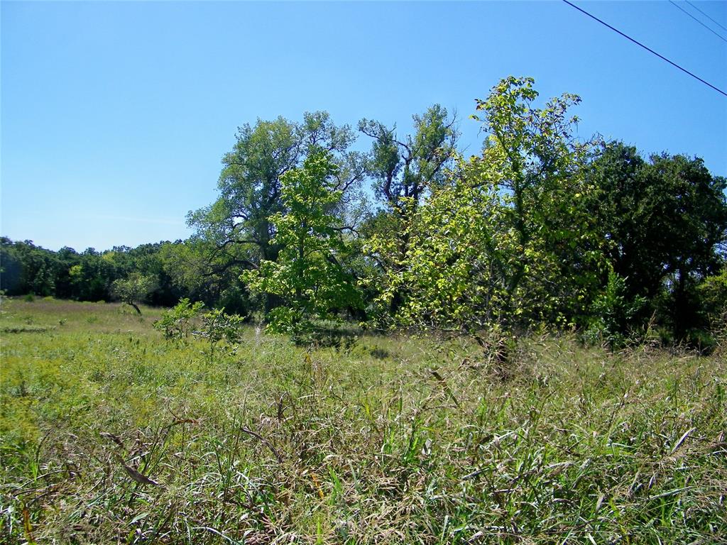 2343 County Road 1350 Property Photo 43