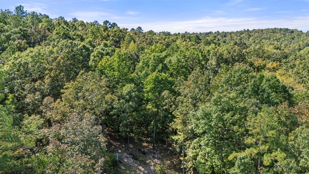 47 Aj Cedar Trail Property Photo 1