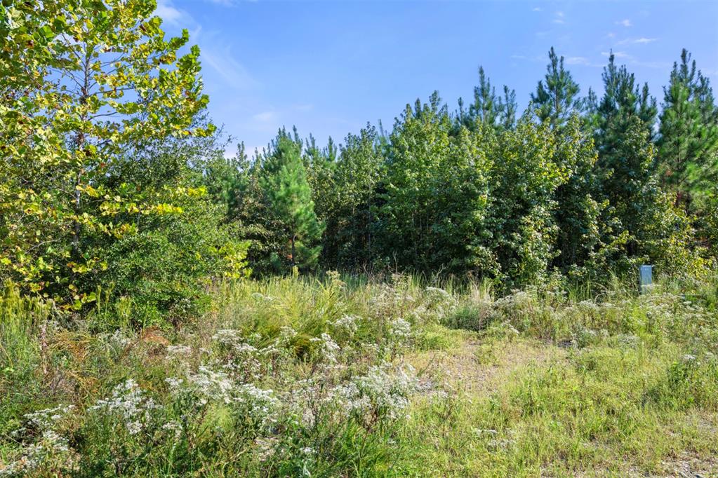 50 S Holland Trail Property Photo 3
