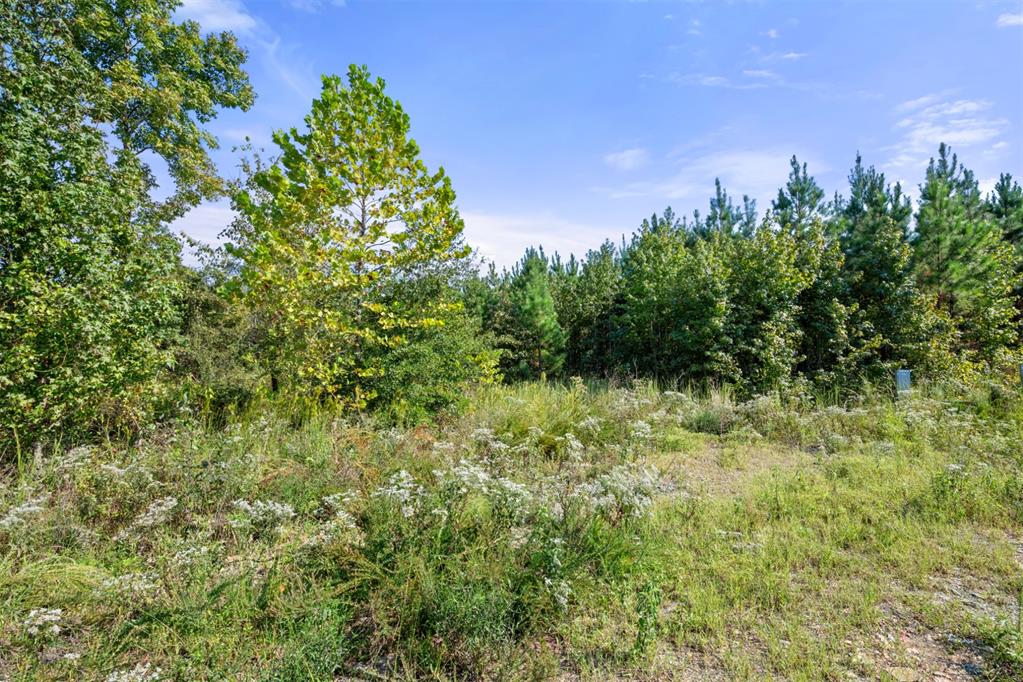 50 S Holland Trail Property Photo 4