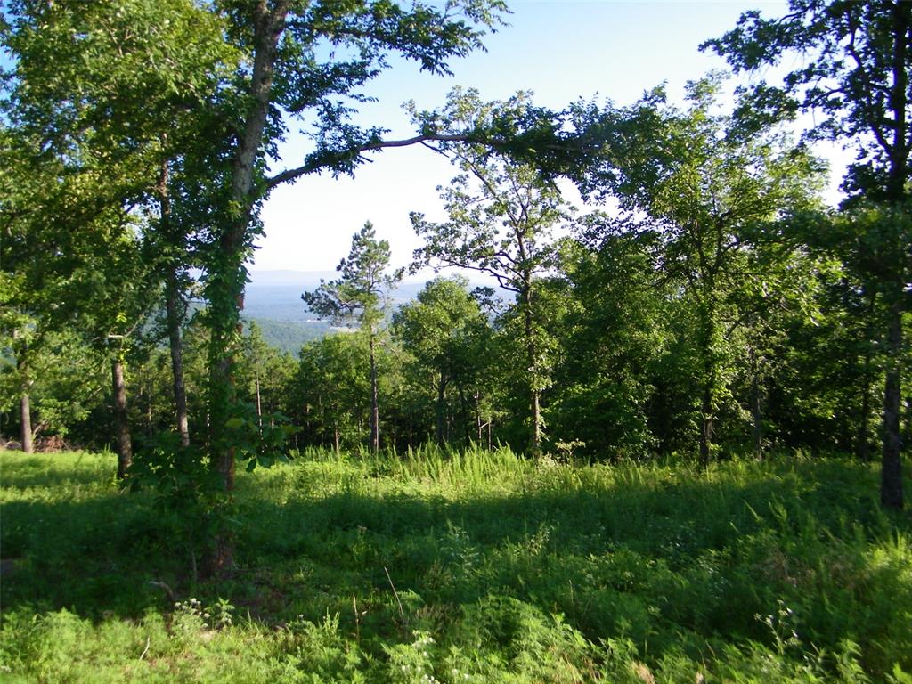 Ne 155th Street Property Photo 2