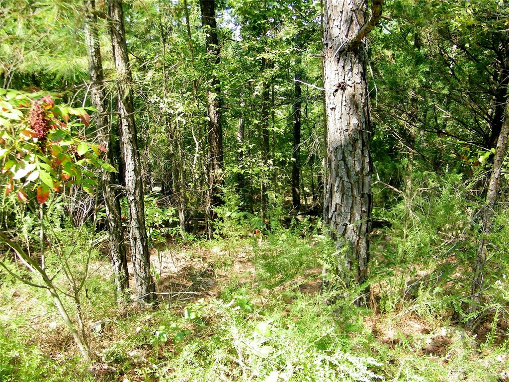 Ne 155th Street Property Photo 7
