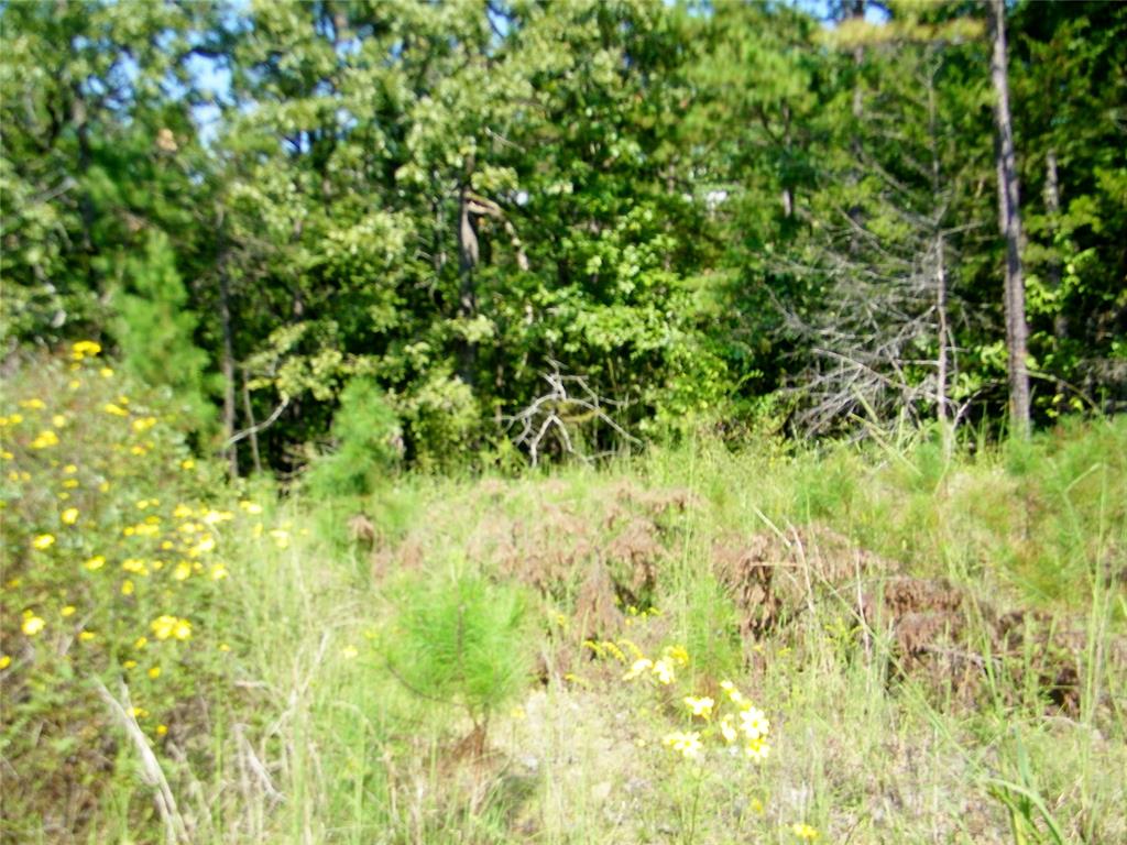 Ne 155th Street Property Photo 12