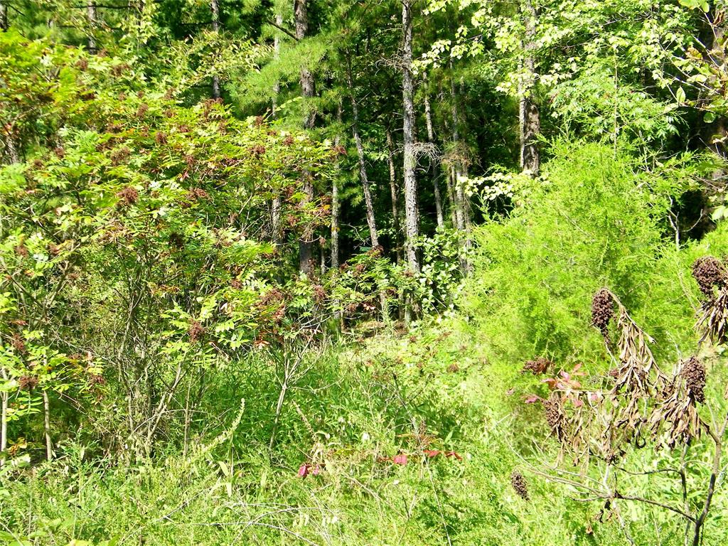 Ne 155th Street Property Photo 18