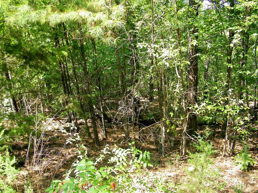 Ne 155th Street Property Photo 21