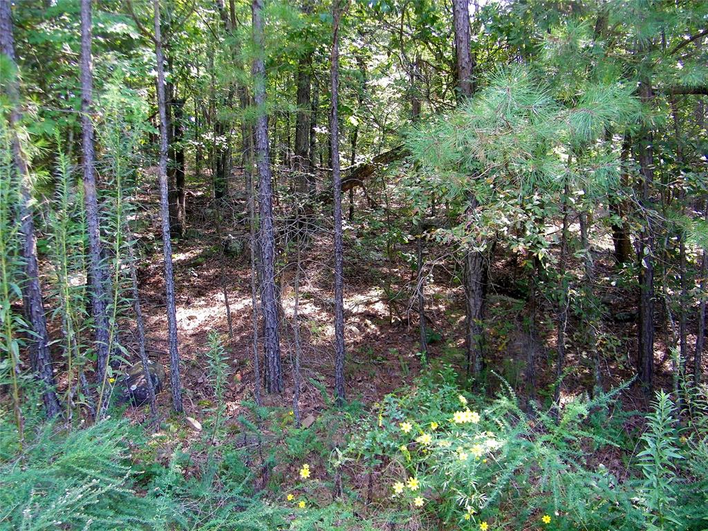 Ne 155th Street Property Photo 23